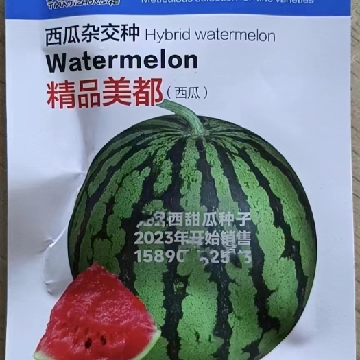 扶沟县美都西瓜种子，新疆培育基地，新培育，优于原美都及8424