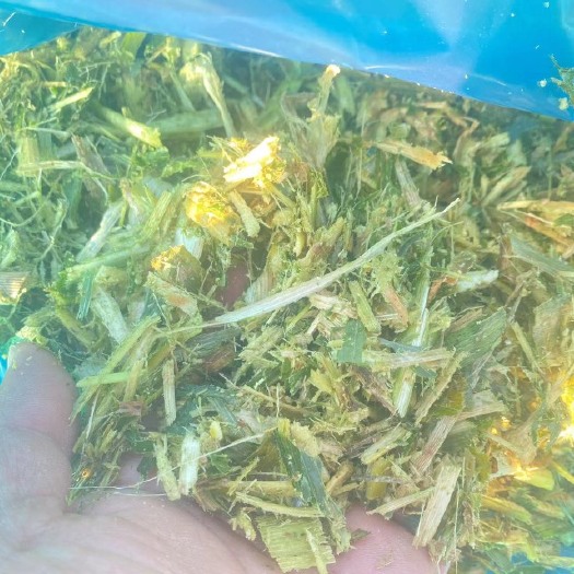 内黄县玉米秸秆