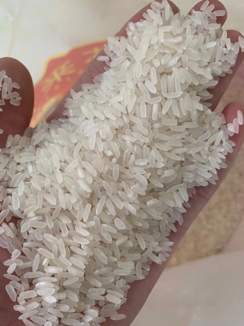 东莞市油粘米饭堂米学生米酒店米电商用米产地直销新米香米（不包邮费）