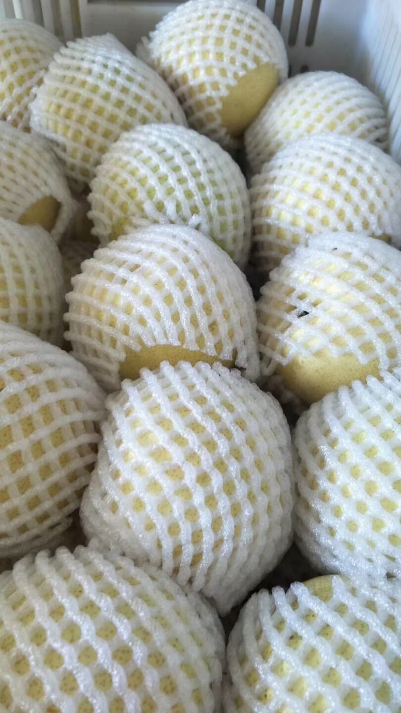 陕西纸袋酥梨（砀山酥梨）现货供应欢迎采购货源充足预售从速