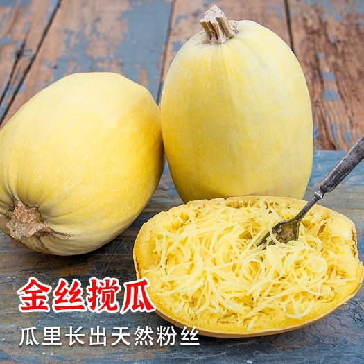 金丝搅瓜种子天然粉丝南瓜种籽拍砸金丝搅瓜四季特色蔬菜种籽
