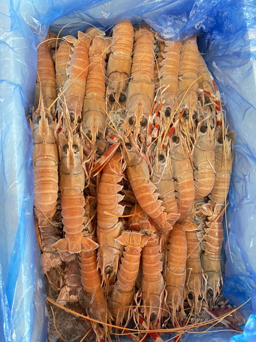 乳山市海螯虾