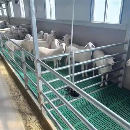 诸城市养羊漏缝地板 羊床漏粪板安装 绿色羊用粪板