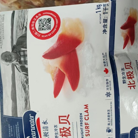连云港北极贝