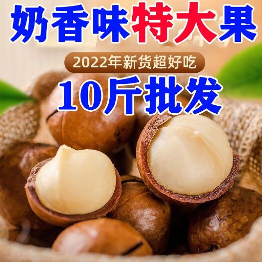永平县2023年云南夏威夷果10斤批发价奶香味原味基地直发一手货源