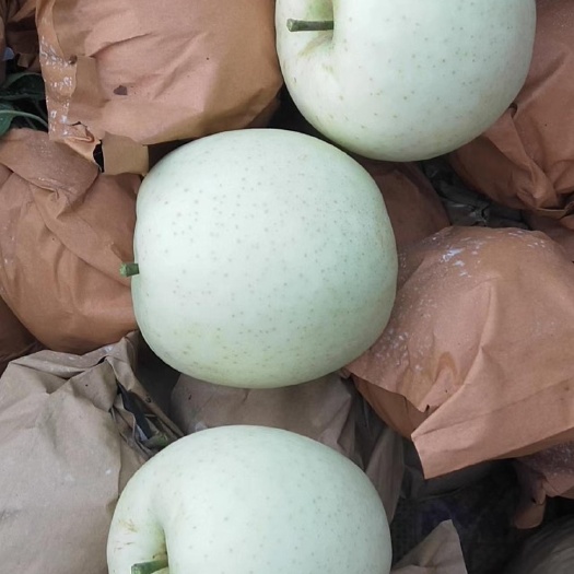 瓦房店市王林苹果，闷袋，果脆味甜，个头75朝上，品质没得说