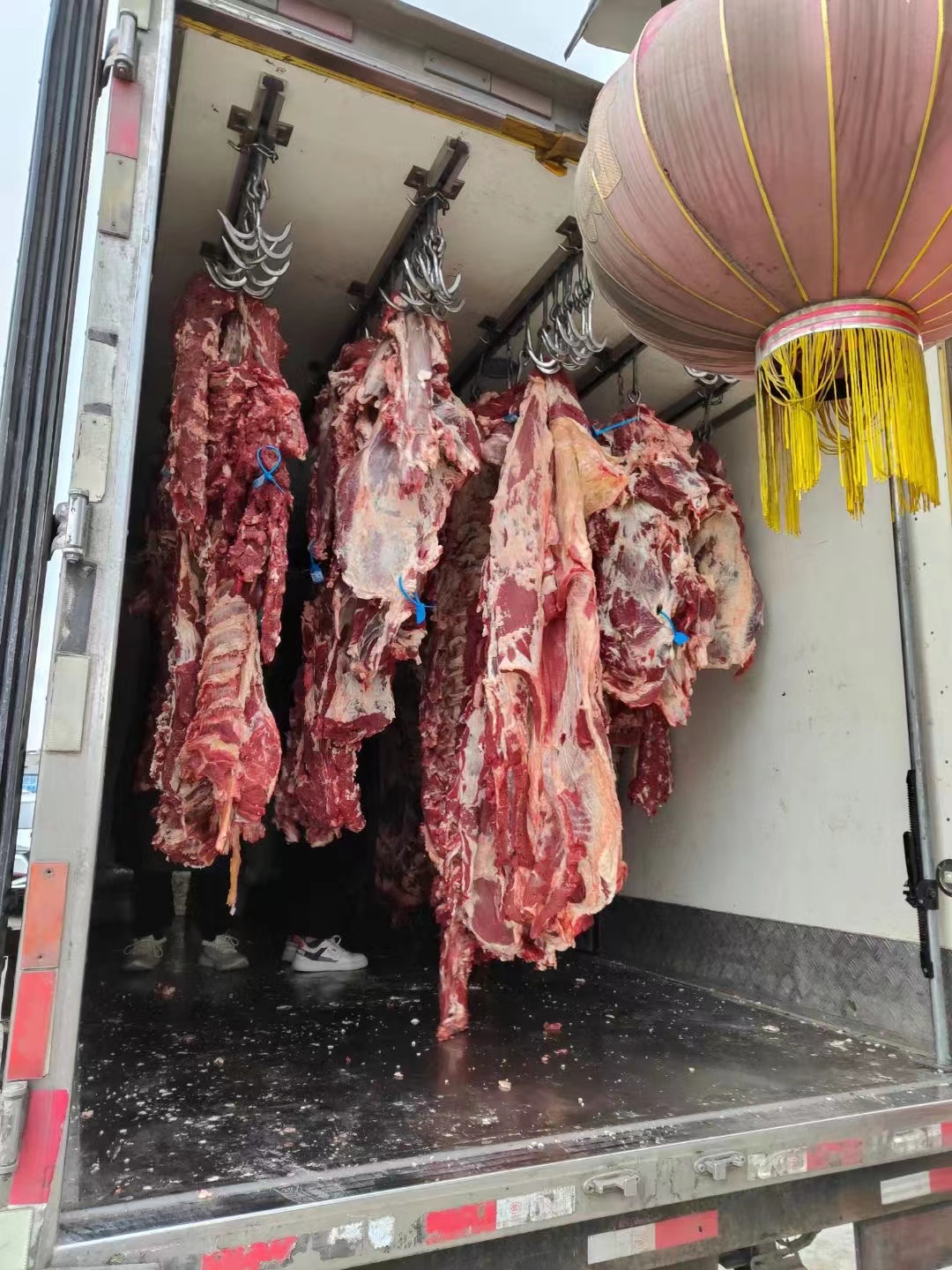 牛肉，新鲜黄牛肉