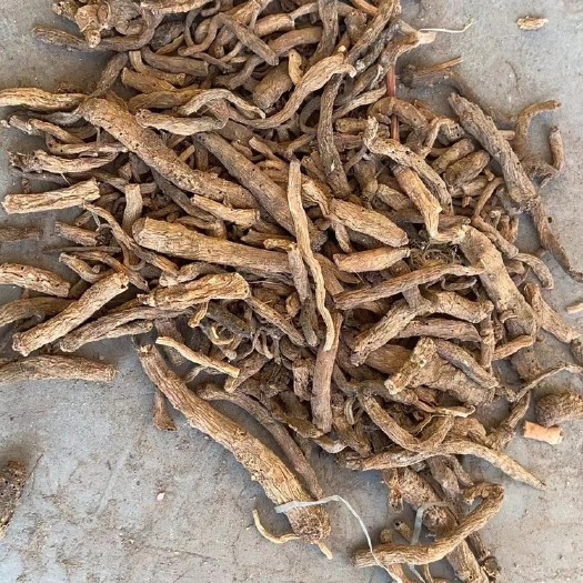通渭县走量低价防风，手慢无