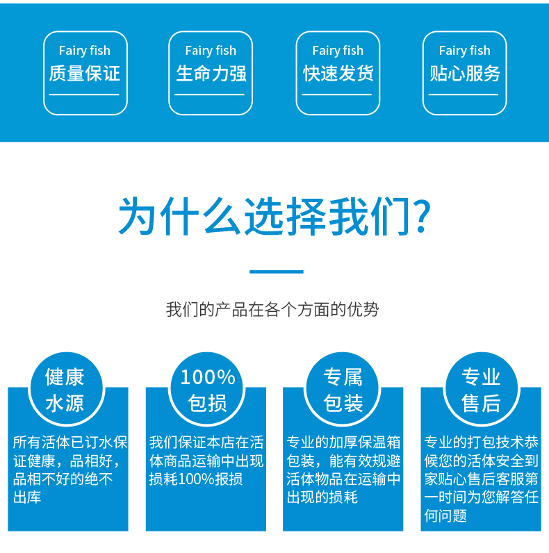 牛蛙苗 牛蛙蝌蚪苗 山水孵化 自产直销