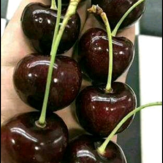 昆明车厘子