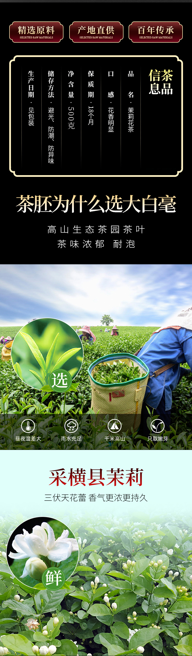 茶友們茶葉2024新茶茉莉花茶罐裝濃香型綠茶禮盒裝500g