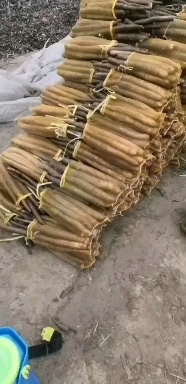 莘县精品网袋货