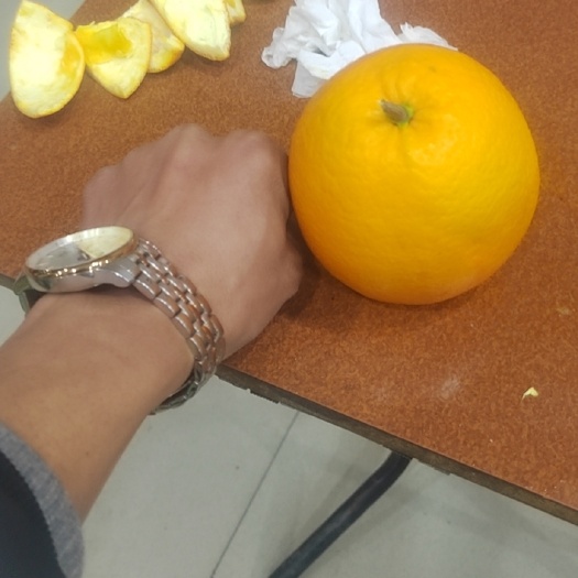 阳原县糖分18