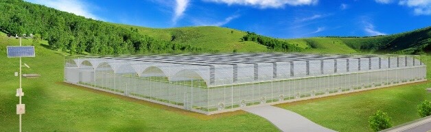 成都智能玻璃种植大棚（含物联检测设备和水肥药一体化系统）