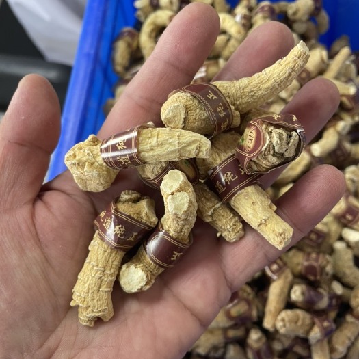 威海西洋参 3克短枝西洋参 纯软枝 无熏硫