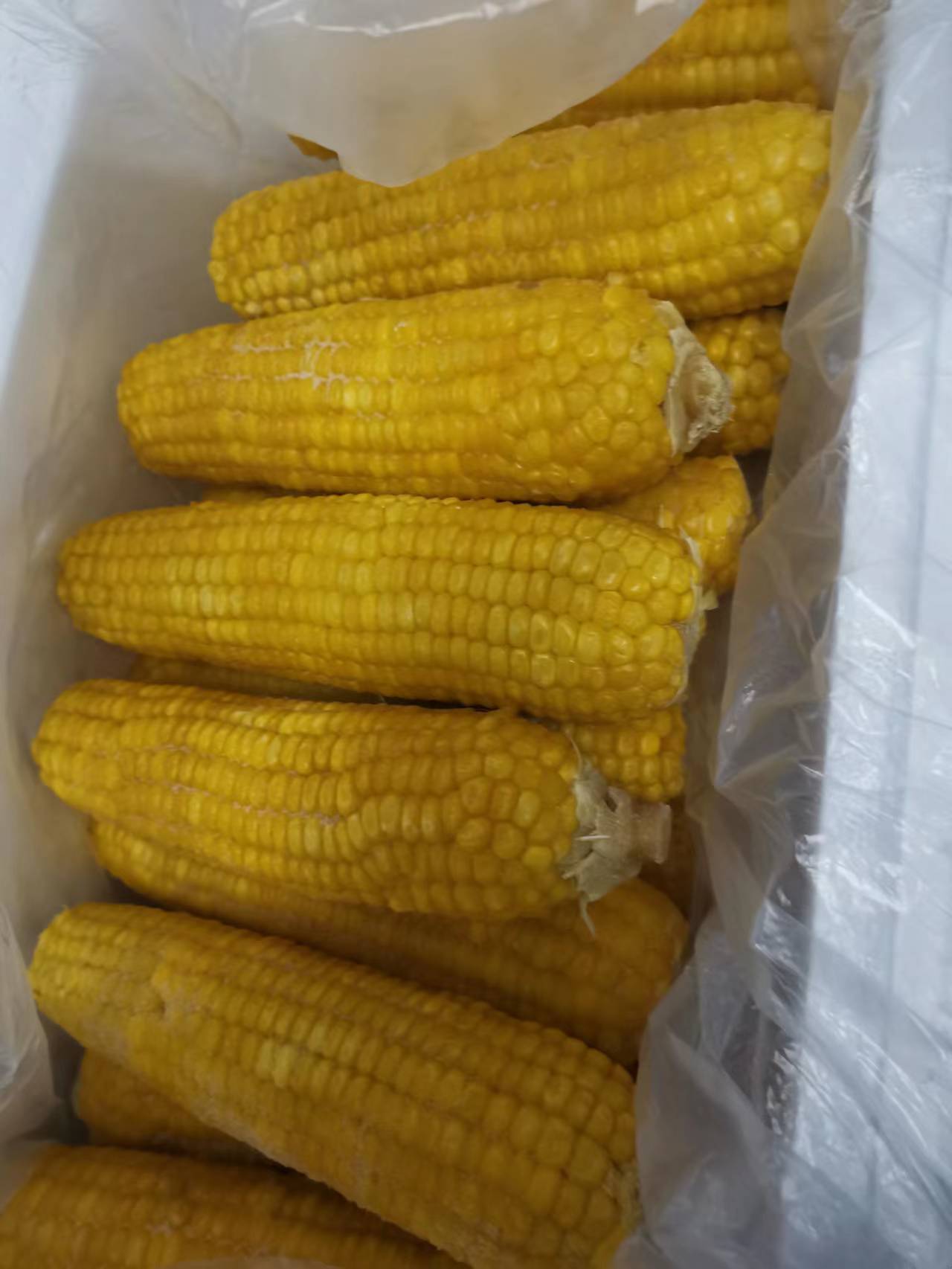 冻棒玉米，接受OEM批发团购，品质口感过关。欢迎老板来电咨询