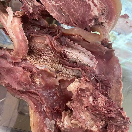 牛头肉，全熟带皮牛头肉去油去骨去淋巴，大量加工中，量大从优