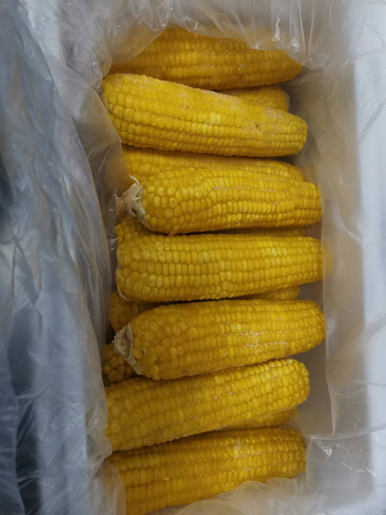 冻棒玉米，接受OEM批发团购，品质口感过关。欢迎老板来电咨询