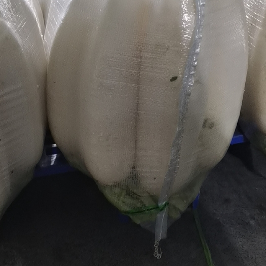 天门市水洗白萝卜大量有货，可以全国发货