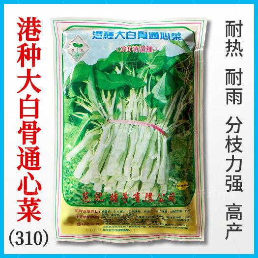 广州范记310大白骨通心菜种子四季大叶空心菜种籽蕹菜籽蔬菜种