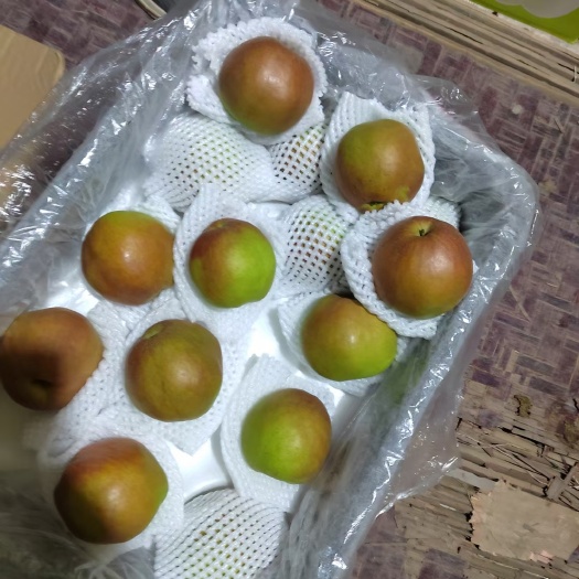 赵县玉露香，河北玉露香梨，皮薄汁多，脆甜