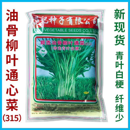 广州范记315油骨柳叶通心菜蕹菜种子青叶白梗通菜空心菜种籽蔬菜种