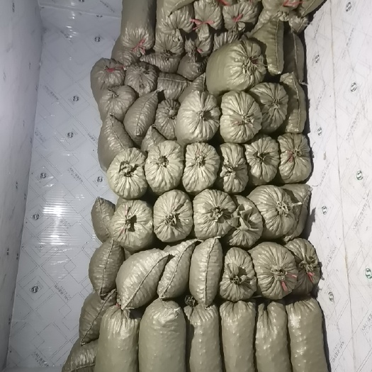淮安小萝卜