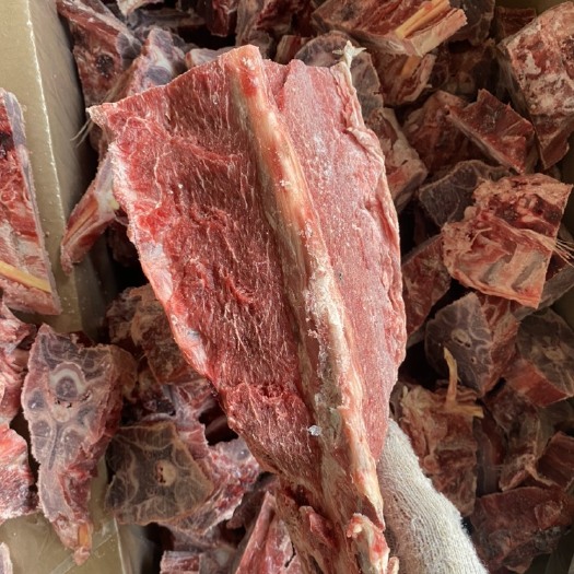 肃宁县本地羔羊羊蝎子，肉含量特别高，价格合适，羊蝎子火锅产品