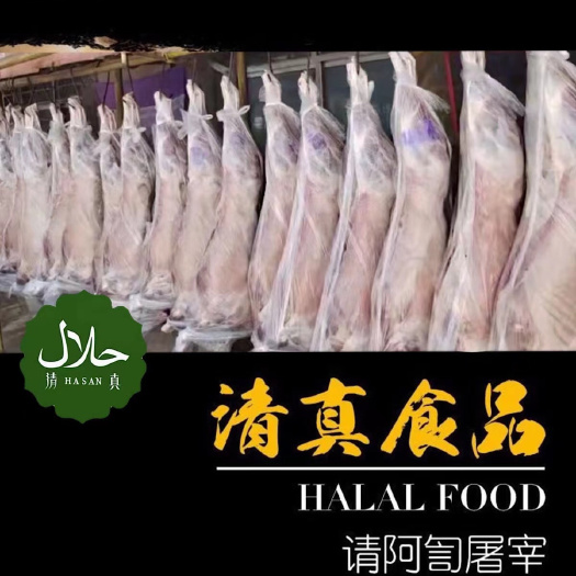 肃南牧场清真屠宰烤全羊产地批发12斤～22斤，市场走量。