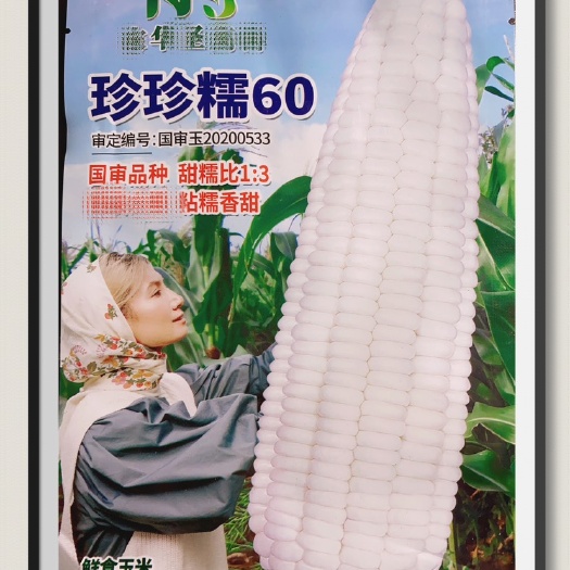 宜城市农华圣高科国审品种 珍珍糯白甜糯玉米种子 甜加糯 200克