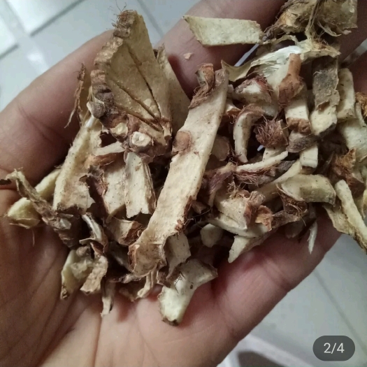 鄄城县知母 知母片 知母丁