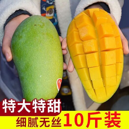 攀枝花新鲜大芒果10斤大青芒当季现摘热带水果非金煌甜心凯特水仙芒果