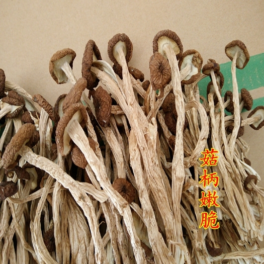 广昌县剪脚广昌茶树菇3号干品新货，产地直发