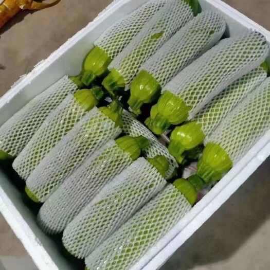 邯郸西葫芦。超市 食堂。电商。市场。对接