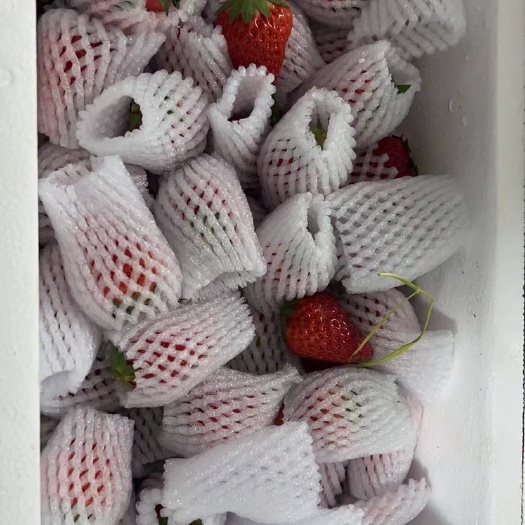 楚雄市红颜草莓，果实，草莓网套包装，2-5千克一件。