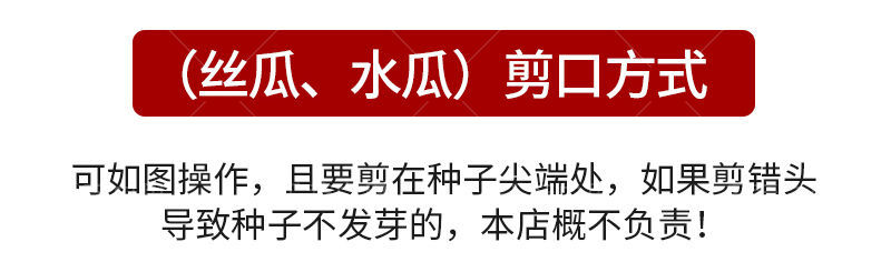 泰优10号花点大肉甜丝瓜种籽子耐寒耐热棱角丝瓜种子春秋蔬菜种