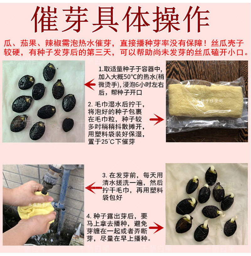 泰优10号花点大肉甜丝瓜种籽子耐寒耐热棱角丝瓜种子春秋蔬菜种