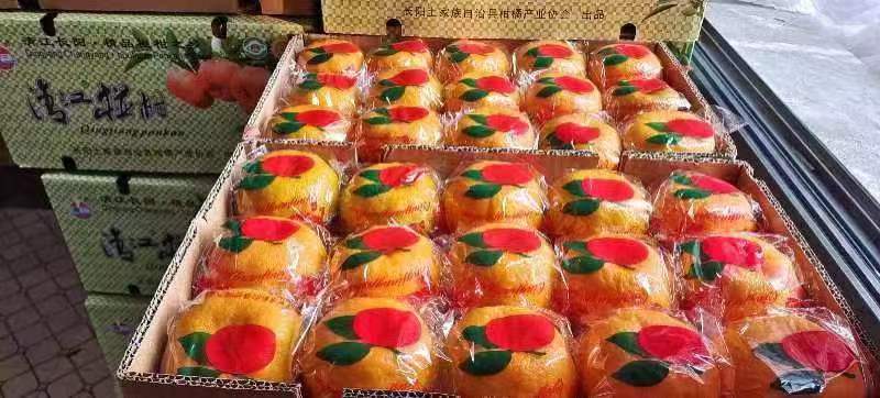 长阳县湖北长阳碰柑，口感皇宫品质，精品特级果，是送礼佳品