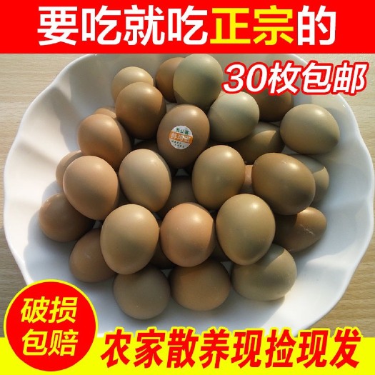 商河县一件代发，七彩山鸡蛋！30枚60枚！