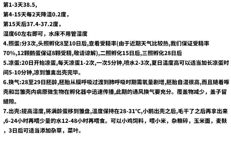 大种三花鹅种蛋 五龙鹅种蛋泰州鹅种蛋保障受精率包邮破损补损