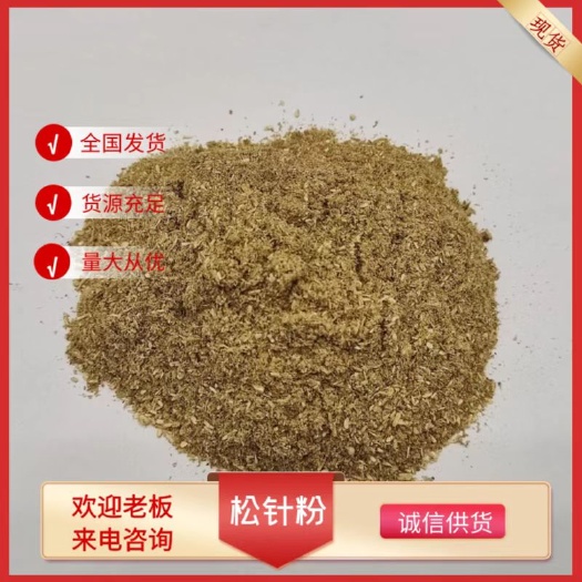 济南批发零售松针粉 养殖饲料原料油松马尾松枝加工绿色松针粉