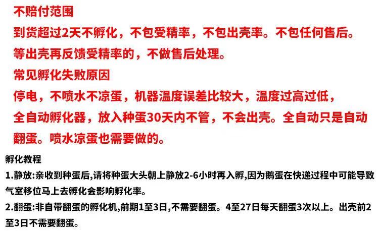 大种三花鹅种蛋 五龙鹅种蛋泰州鹅种蛋保障受精率包邮破损补损