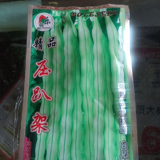 郧西县中早熟品种，从播种至始收50天——55天左右，植株蔓生。