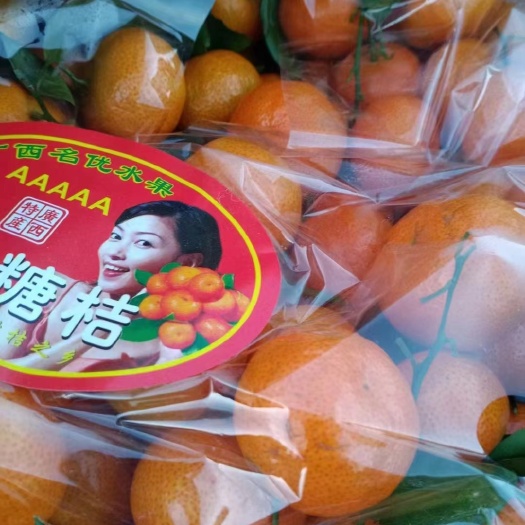 三河市沙糖桔大量上市，量大你就来