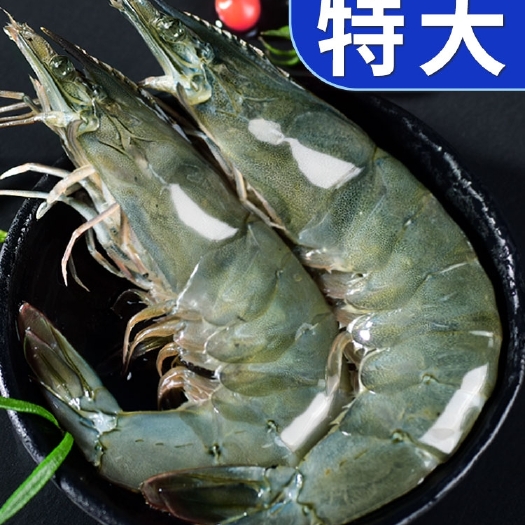 连云港盐冻大虾
