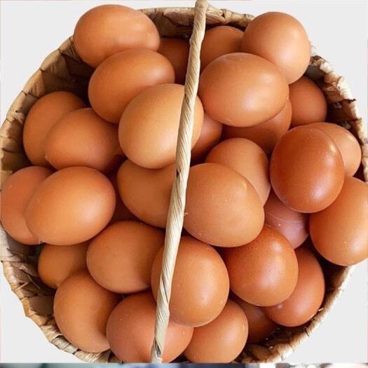 荆门红皮鲜鸡蛋鸡蛋农家散养柴鸡蛋笨鸡蛋草鸡蛋高营养批发土鸡蛋