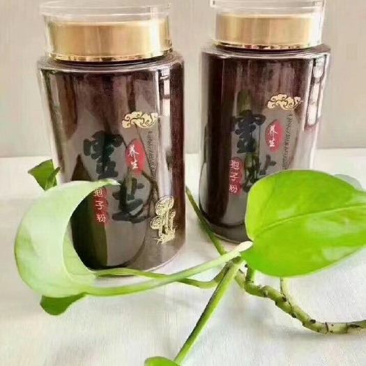 冠县灵芝孢子粉