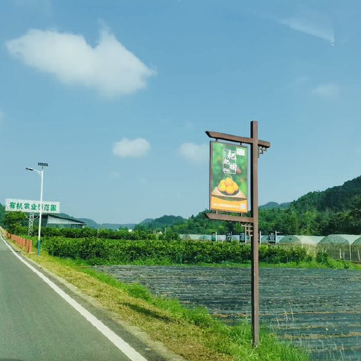 出租-挂果期果园/大棚/十万头猪场/鸡场/鸭场