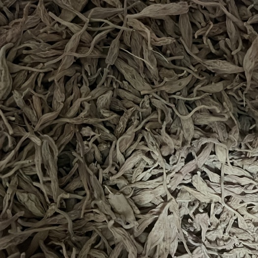 麦冬