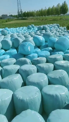 颍上县黄储小圆包